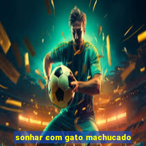 sonhar com gato machucado